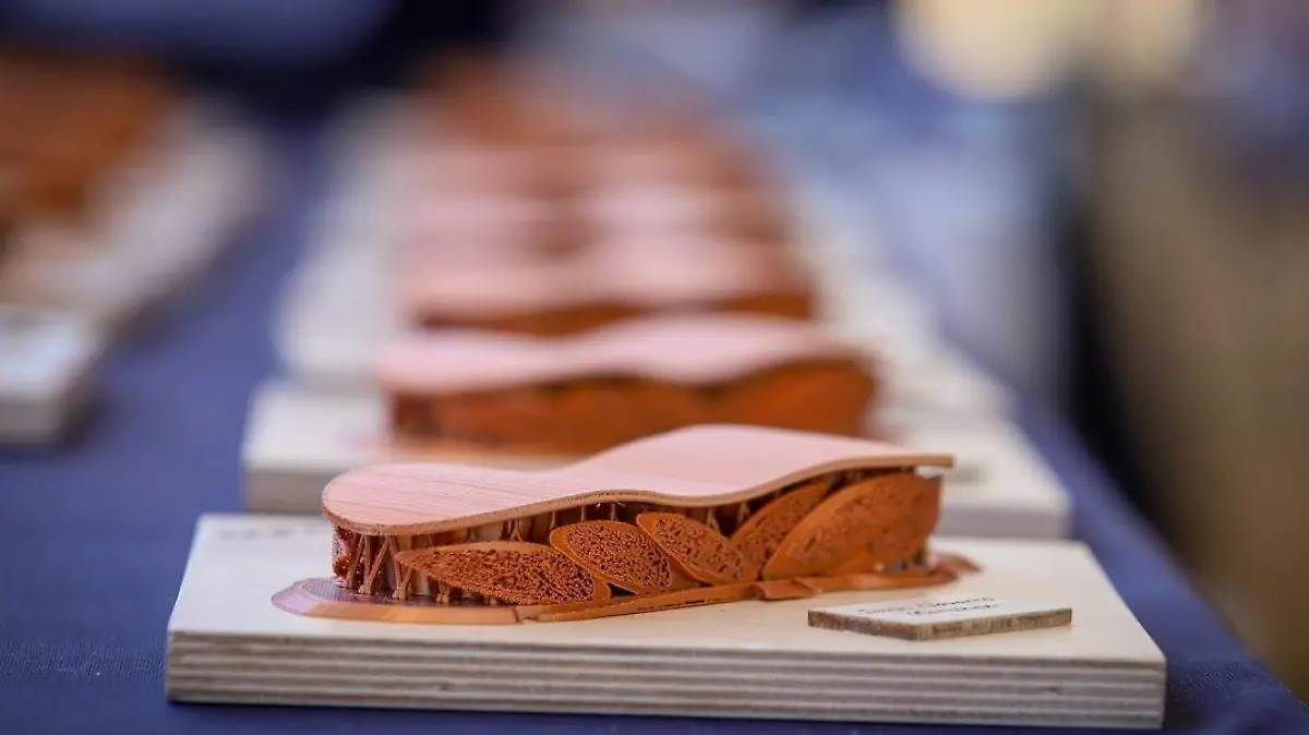 Quedará-lista-La-Libélula-en-octubre