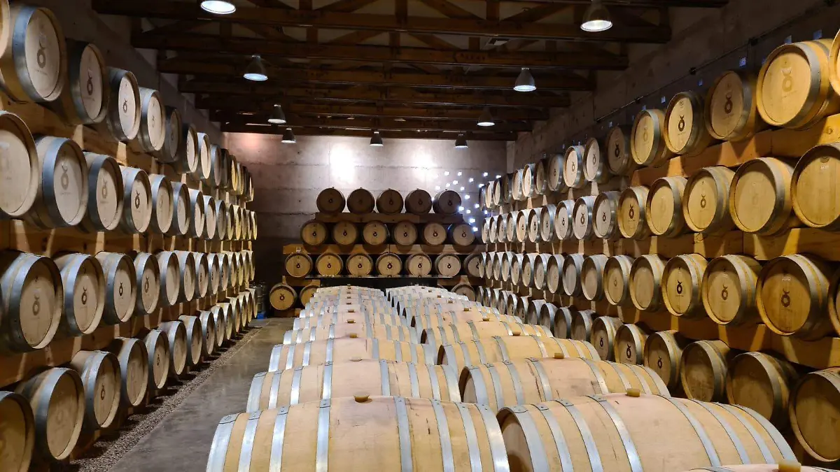 CORTESIA SECRETARIA DE DESARROLLO ECONOMICO DE GTO - VINO (2)