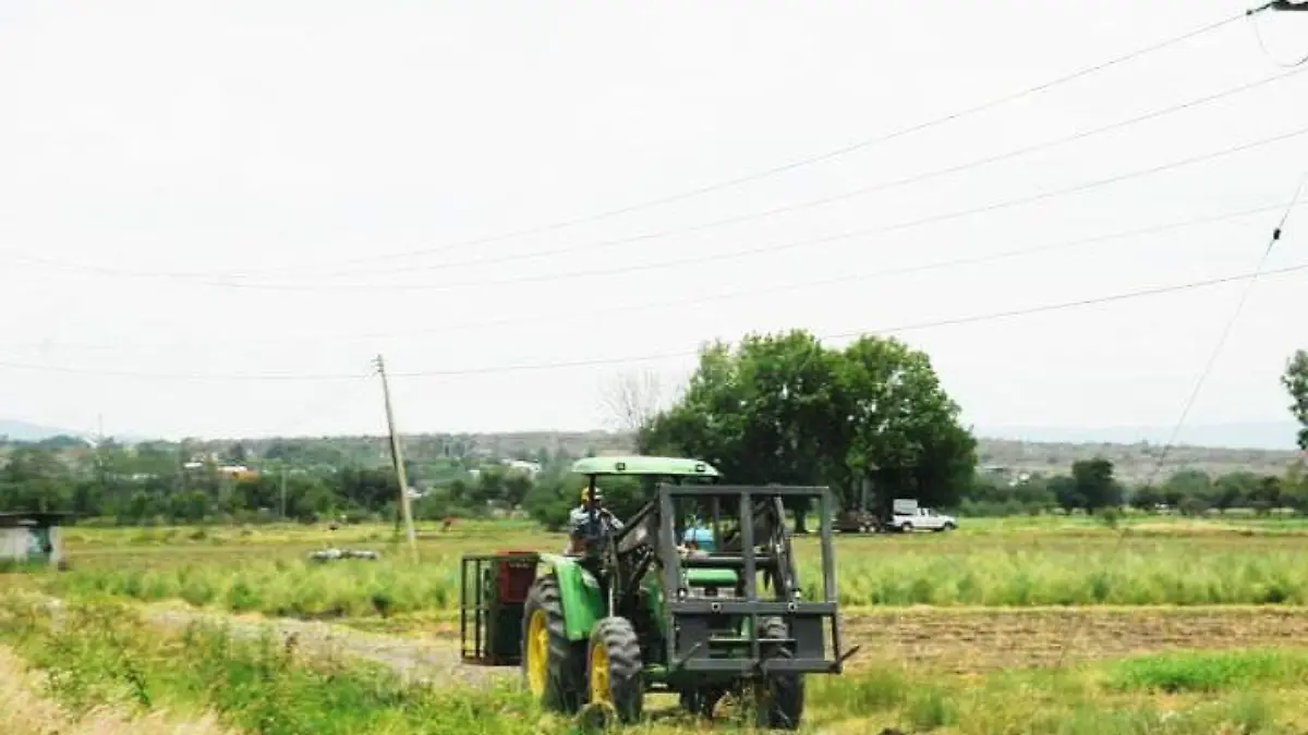 MTZ_0515