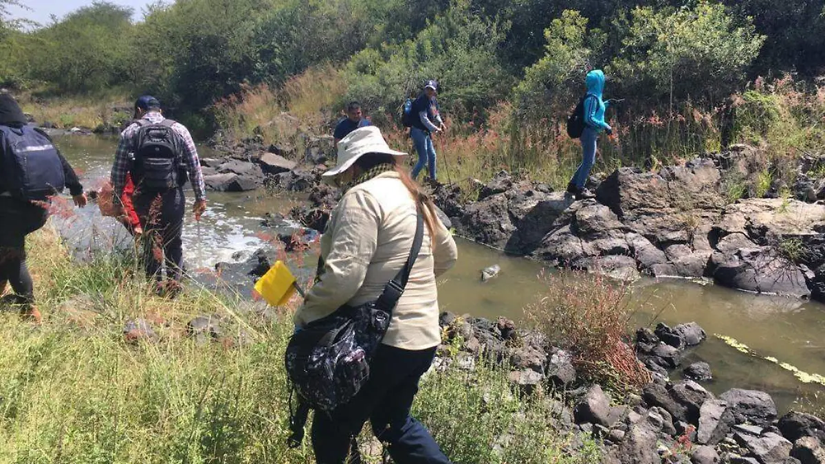 WhatsApp Image 2021-02-07 at 5.33.57 PM