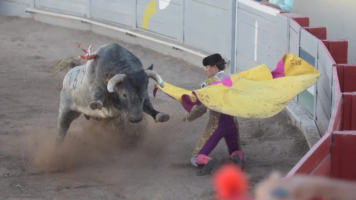En-Guanajuato-la-tauromaquia