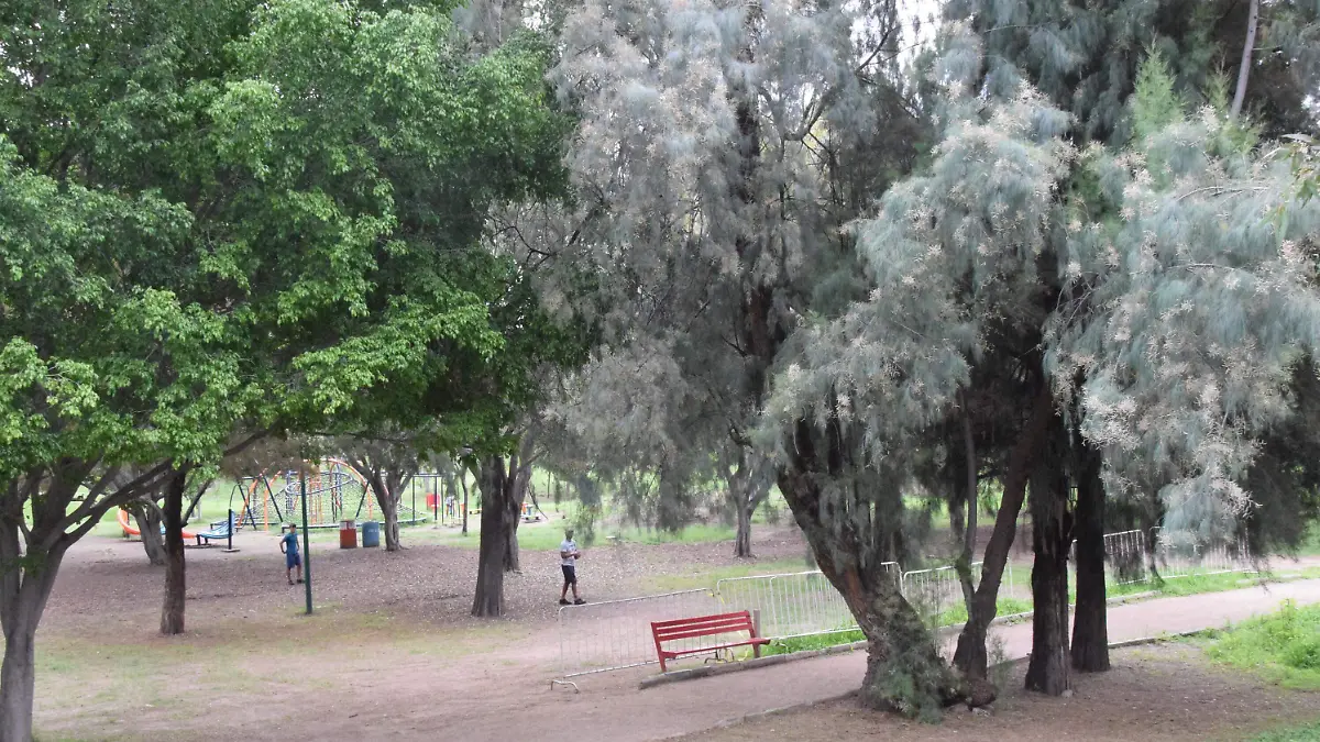 F CARMONA MUERDAGO CARCAMOS (10)