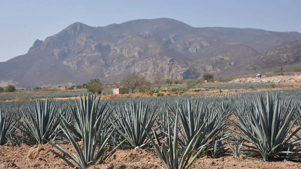 Víctor-Villalobos-visitó-okokok