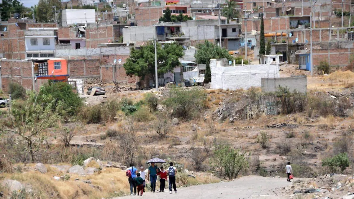 FCO MEZA - VENADEROS (1)