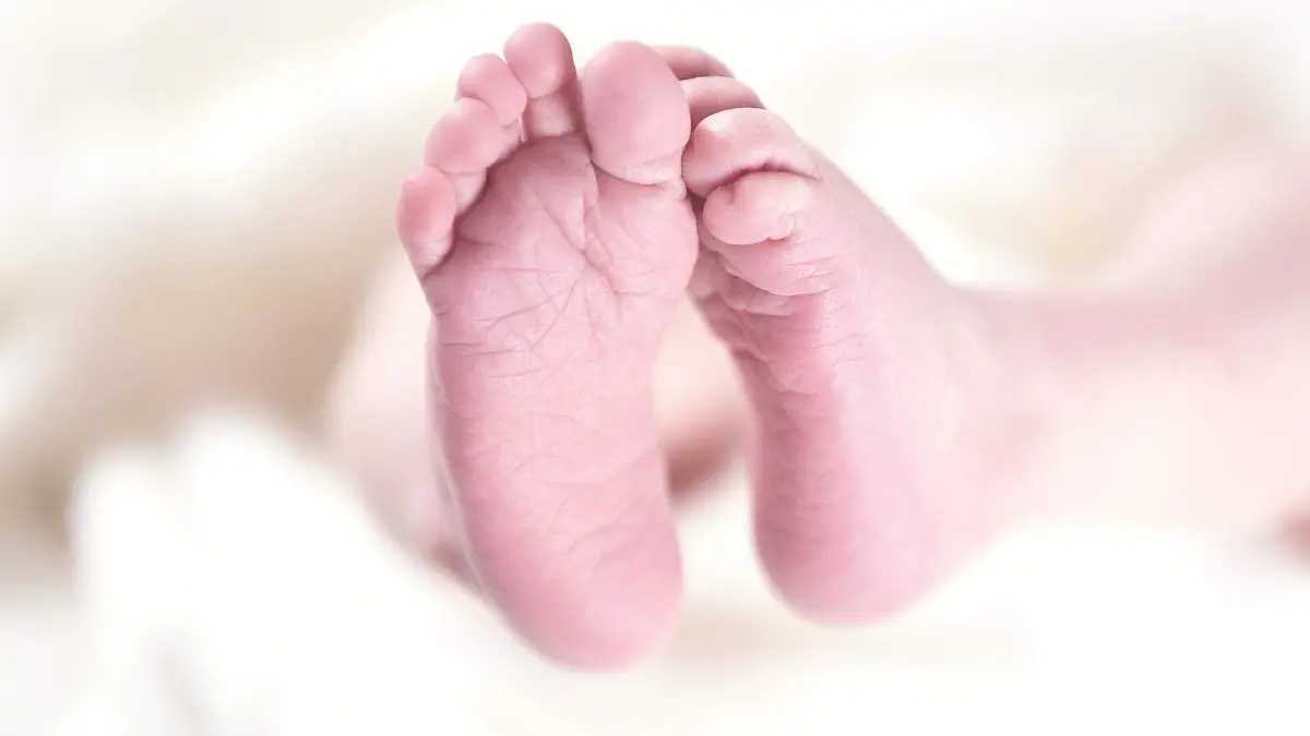 baby-256857_1920