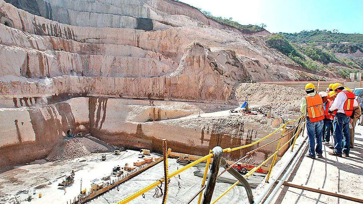 ZAPOTILLO - CORTESIA INFO7.COM