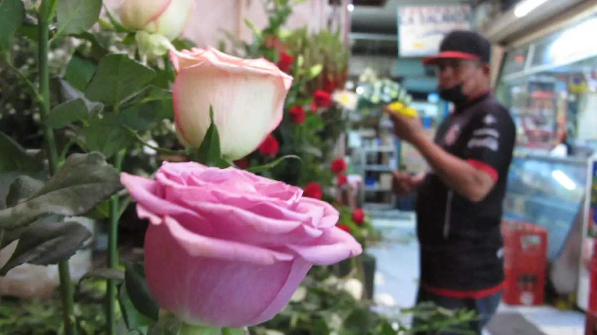 GGARCIA COMERCIOS (7)