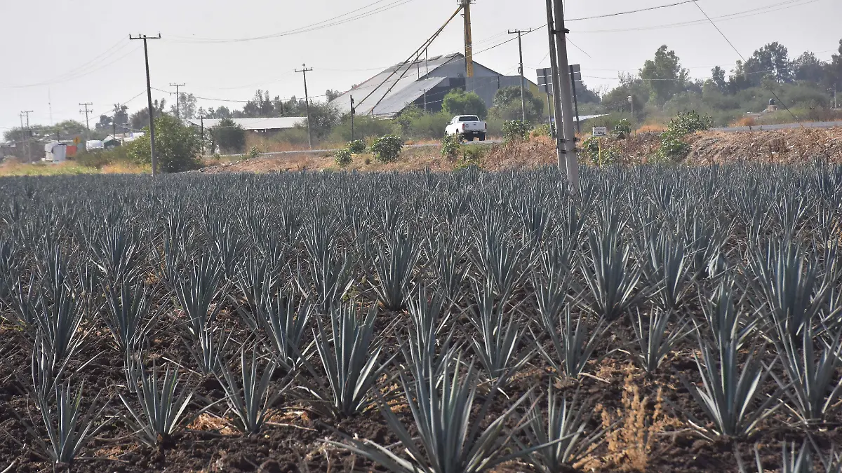 Víctor-Villalobos-visitó-1-okokok