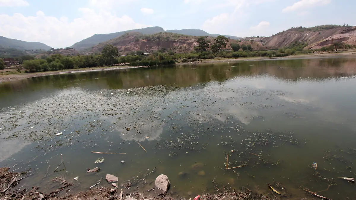 FCO MEZA - PRESAS (2)