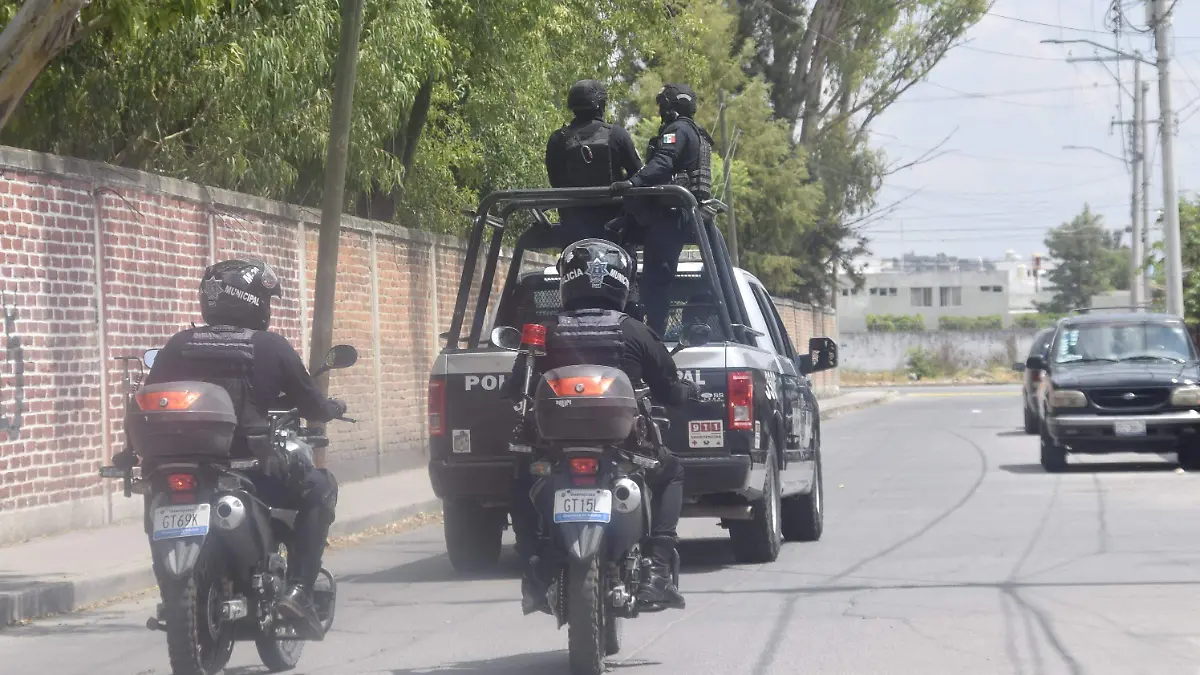 F CARMONA ROBO CASQUILLOS(SAN PANCHO) (2)