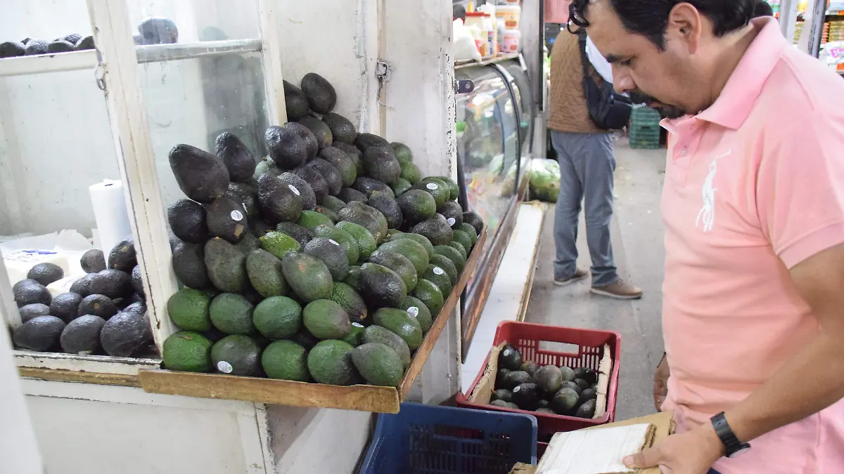 f carmona precio (4)