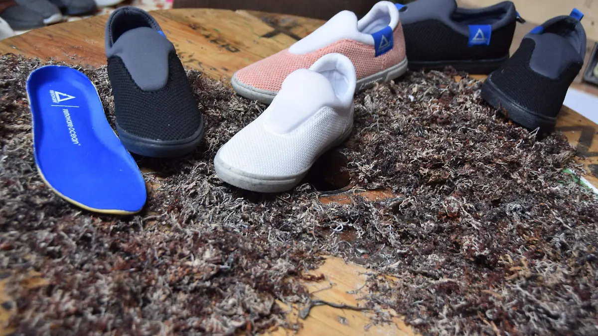 F CARMONA MATERIAL ECOLOGICO ANPIC (4)