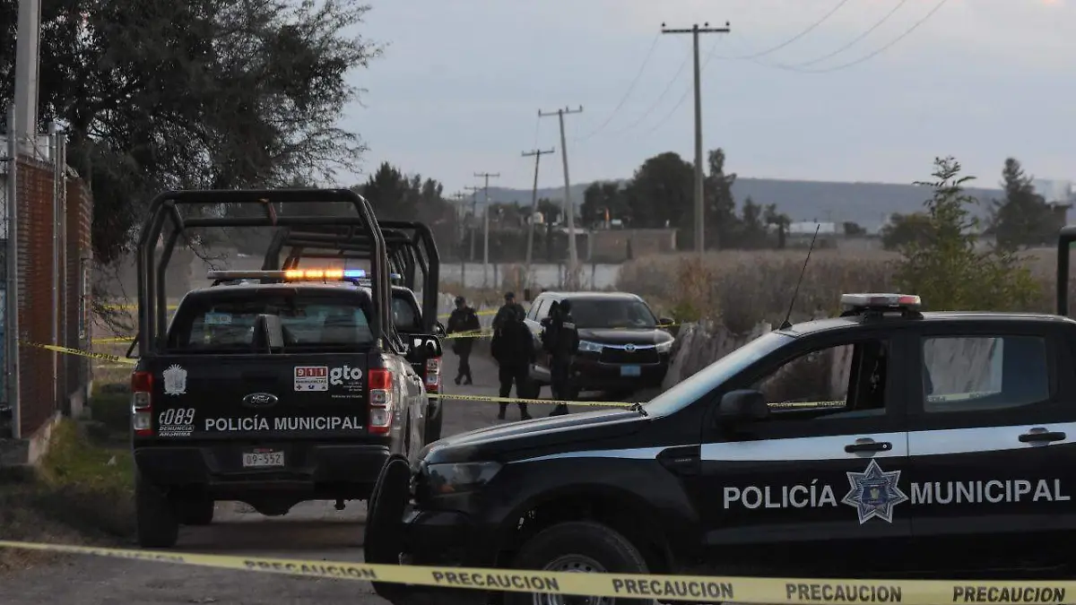 WhatsApp Image 2021-04-27 at 6.50.09 PM