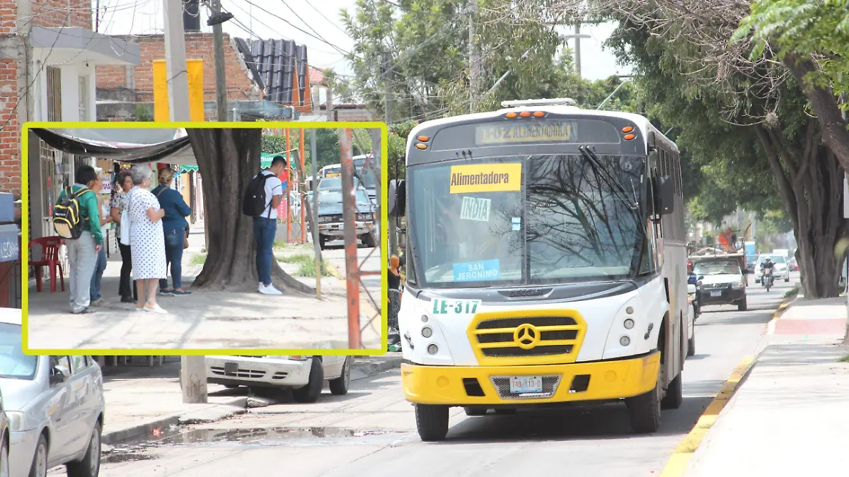 RUTA (3)
