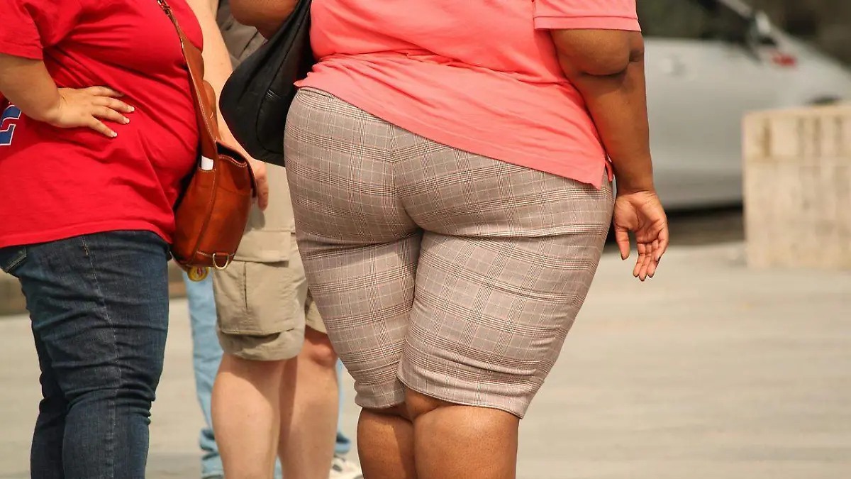 thick-373064_1280