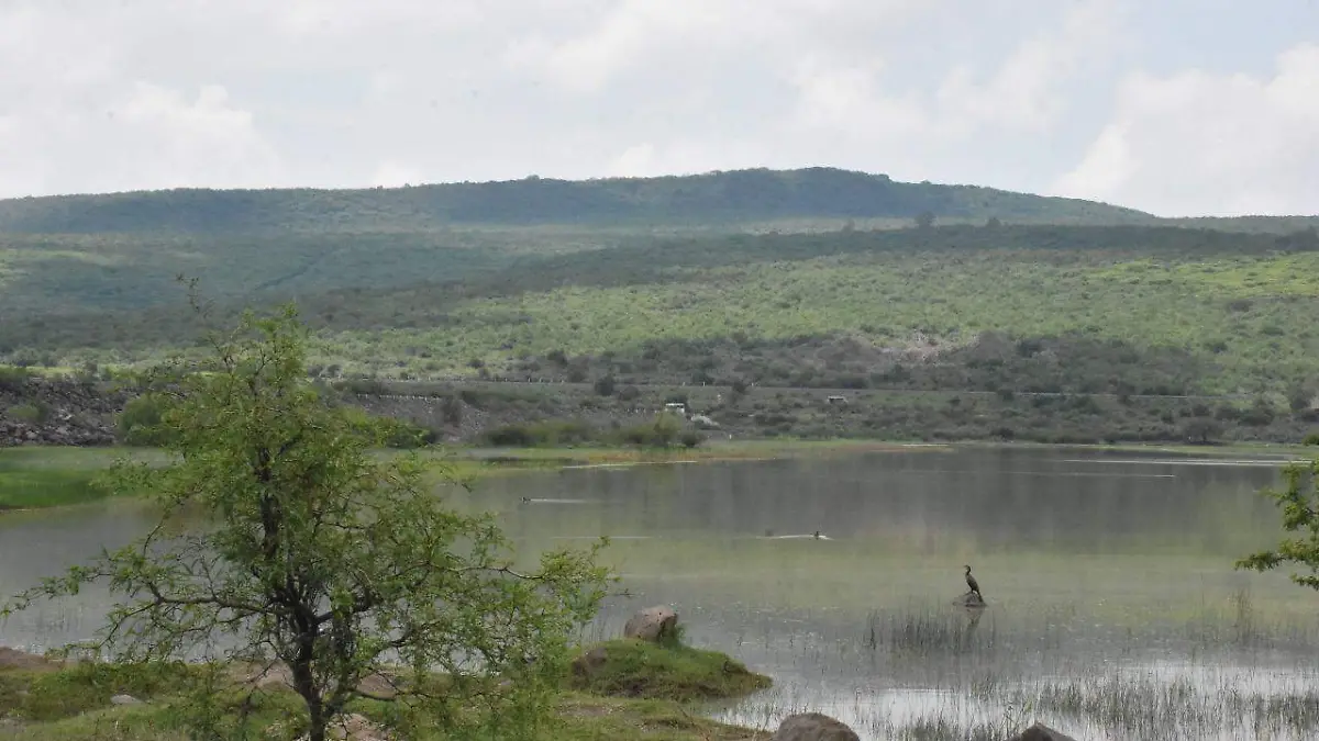 WhatsApp Image 2021-08-03 at 7.45.42 PM