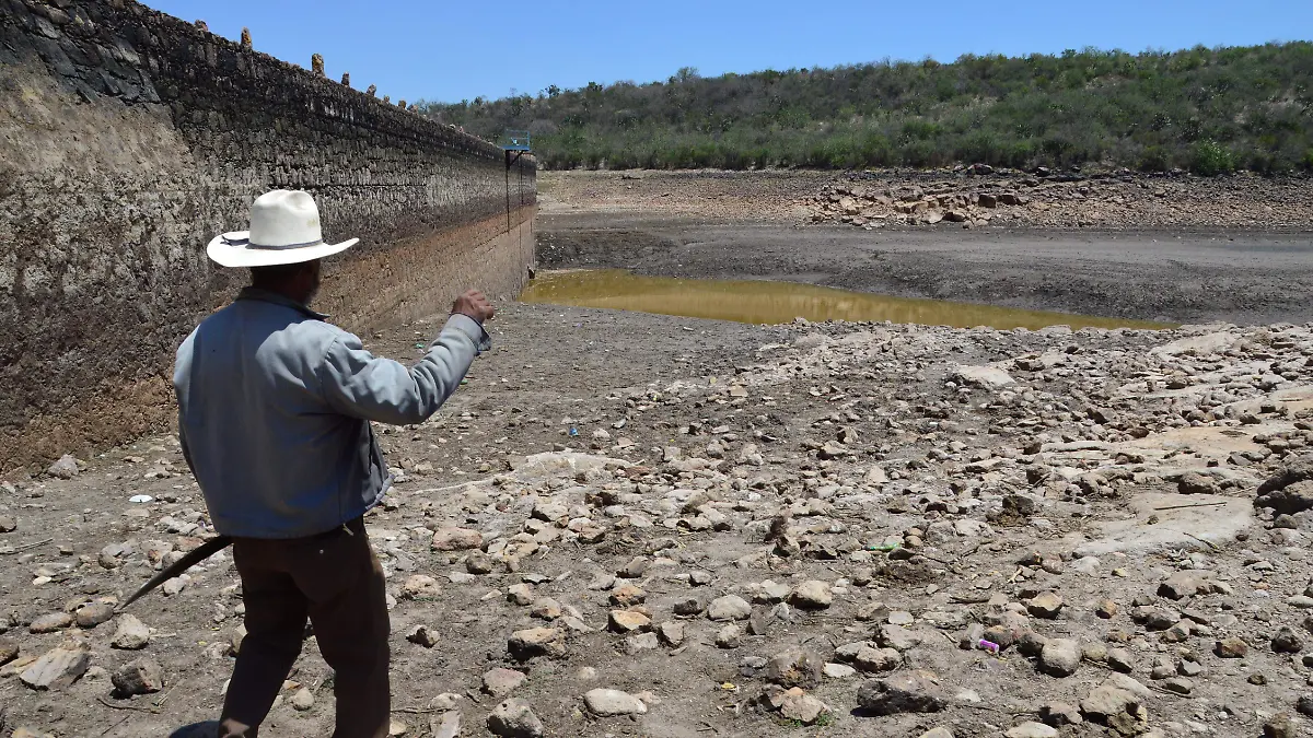 Hay-otras-presas-1-okokok