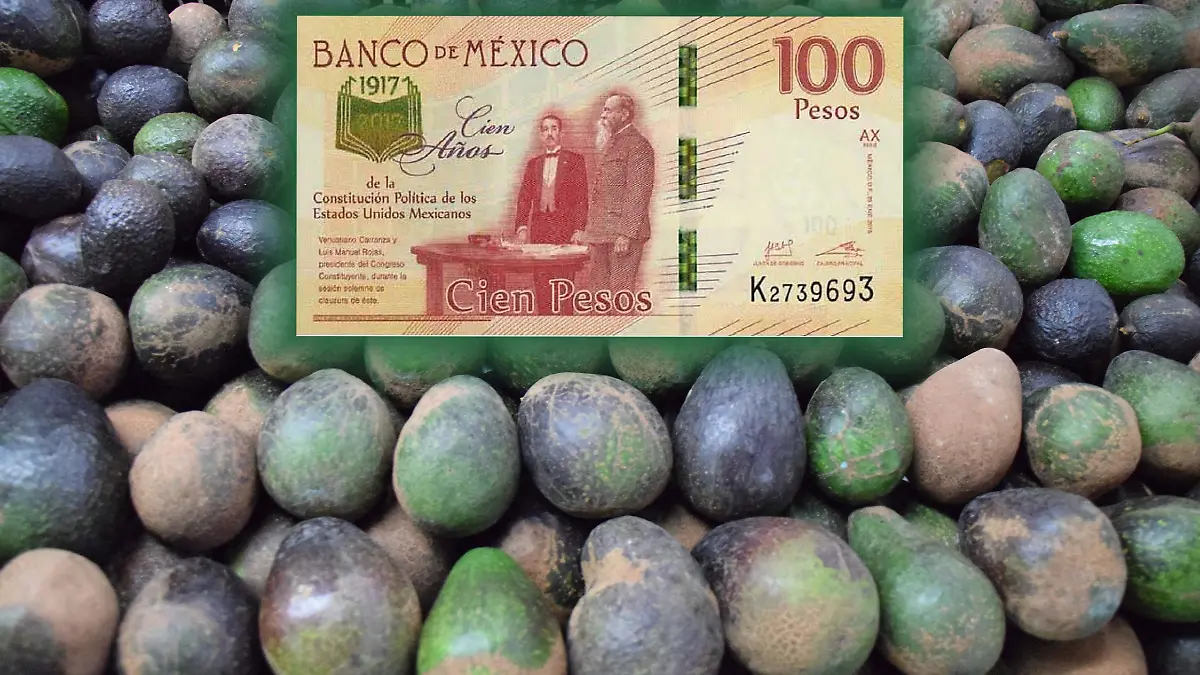 f carmona aguacate (3)
