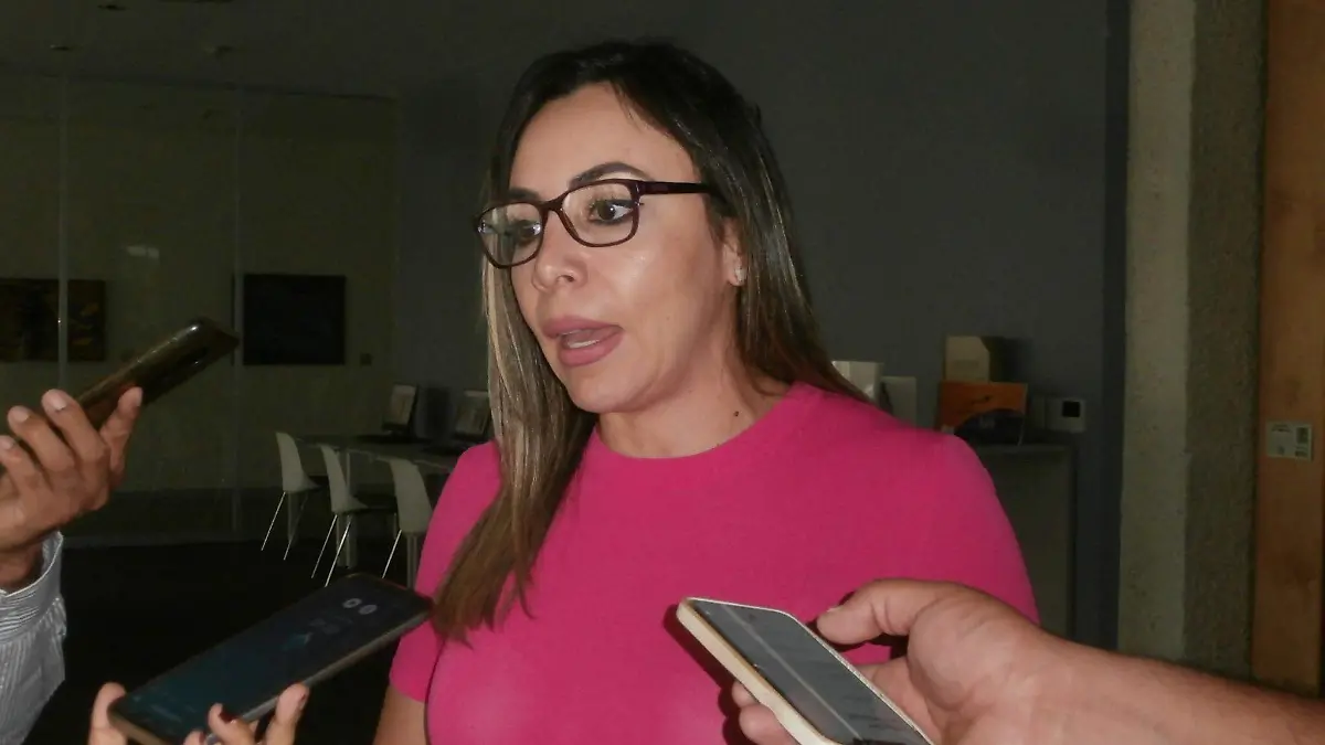 Guanajuato Yulma Rocha busca alianza con ciudadanos Foto Crescencio Torres (4)