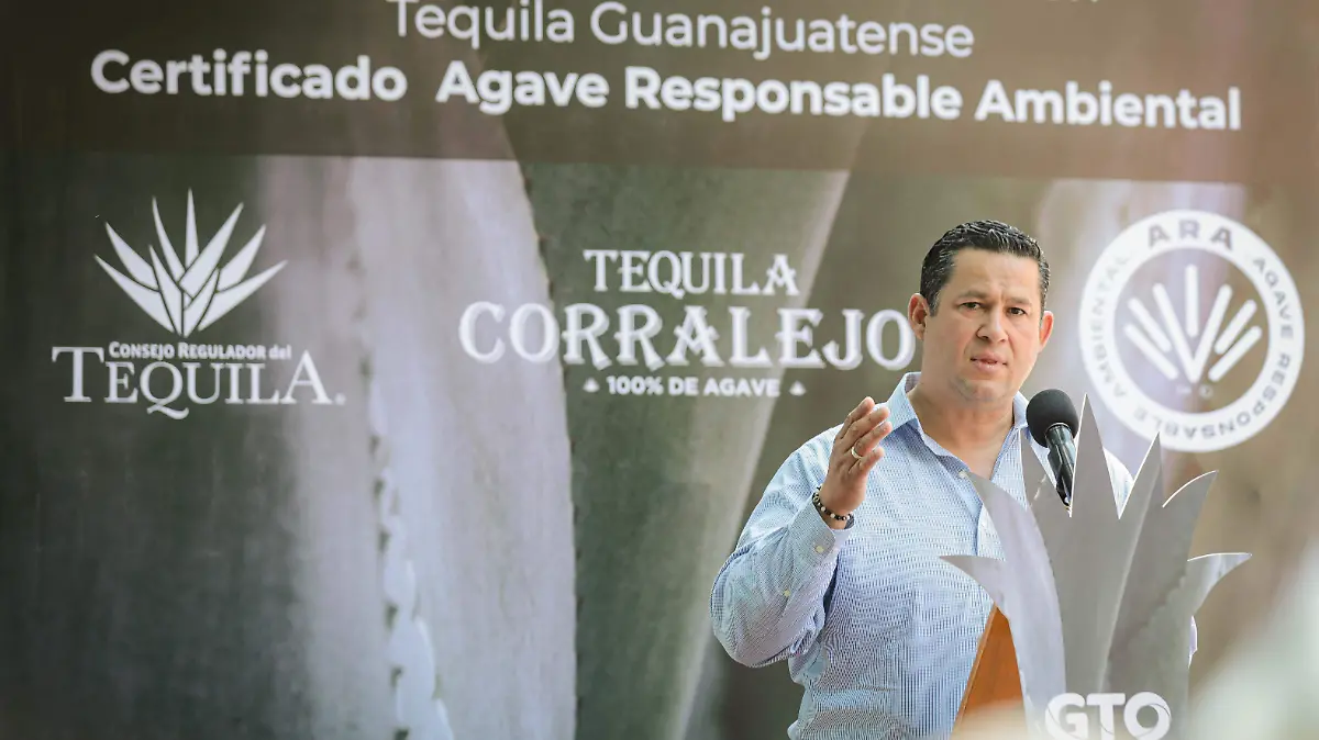 El-gobernador 