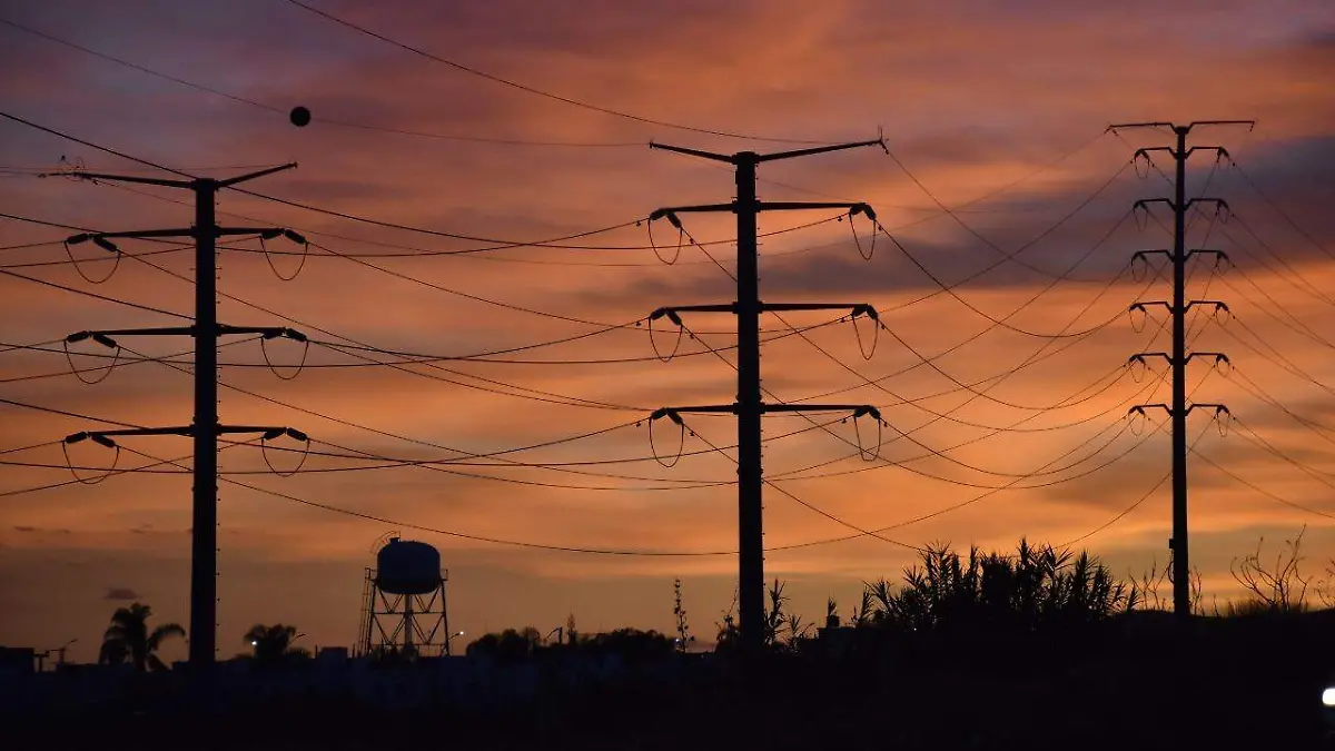 WhatsApp Image 2021-02-04 at 6.55.26 PM