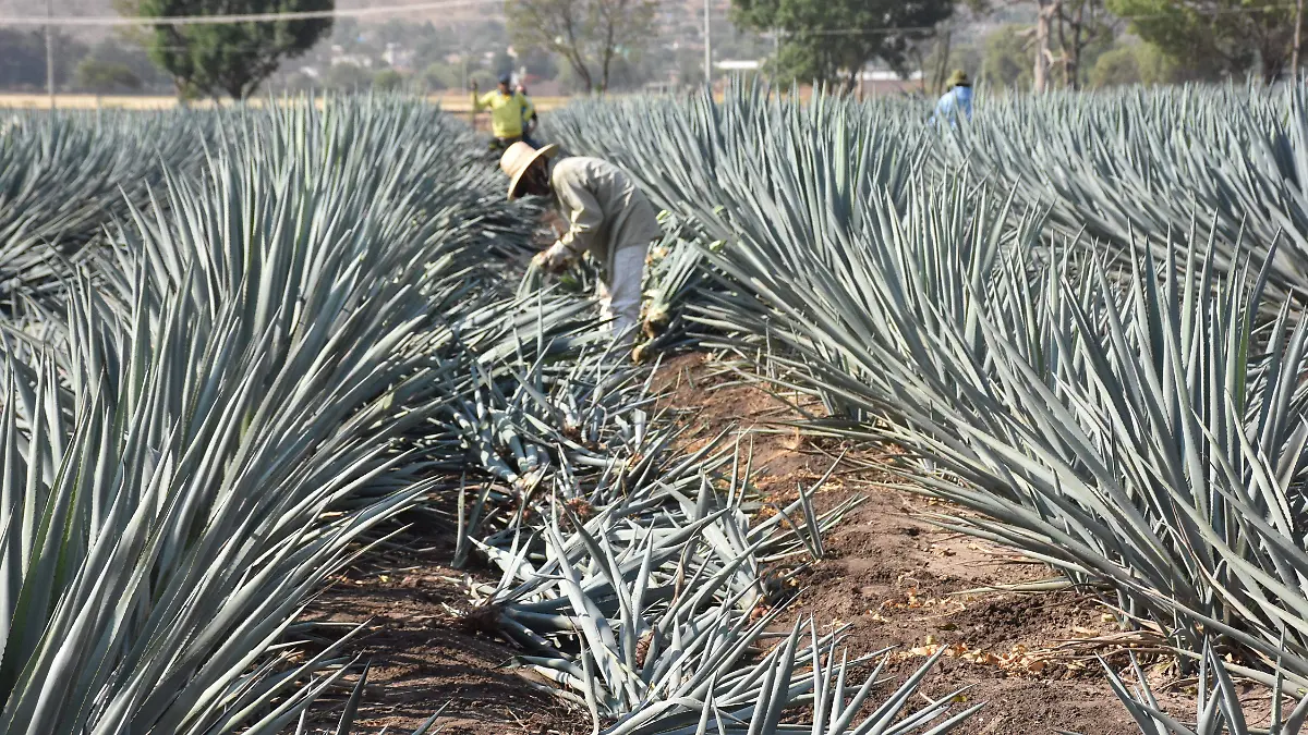 Víctor-Villalobos-visitó