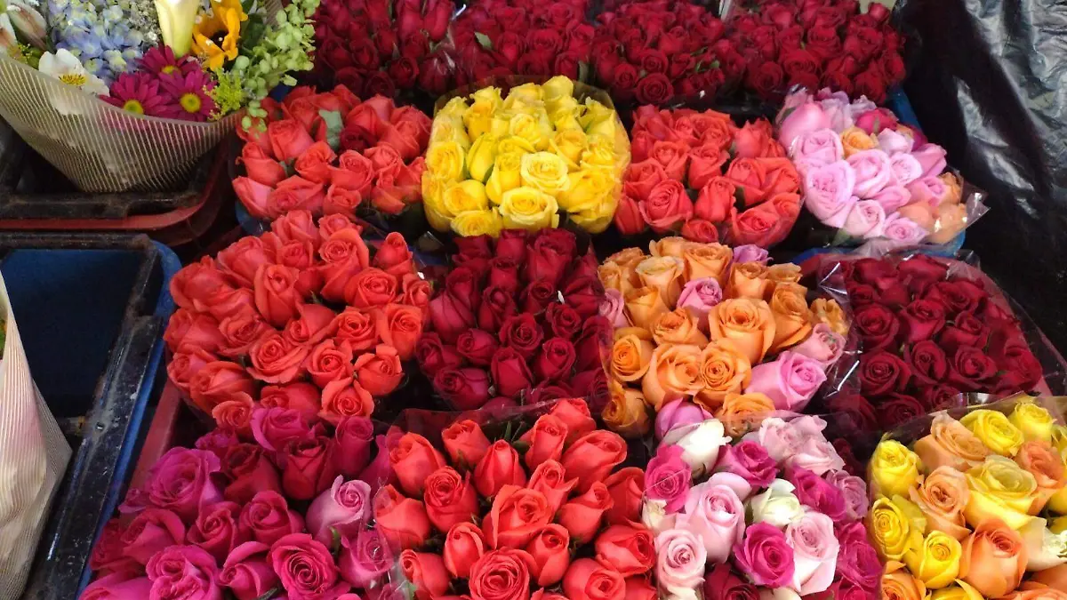 E.CAMACHO - FLORES 4