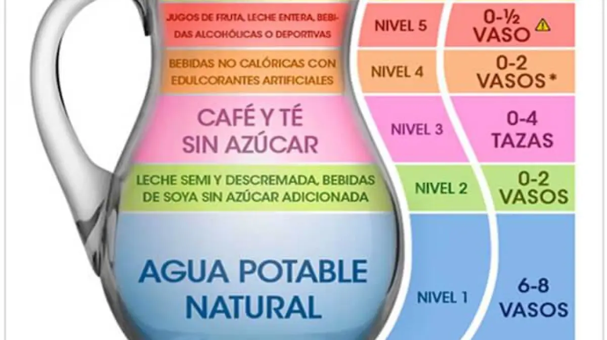 Jarra-Buen-Beber-Liquidos-Bebidas-Debemos-Consumir