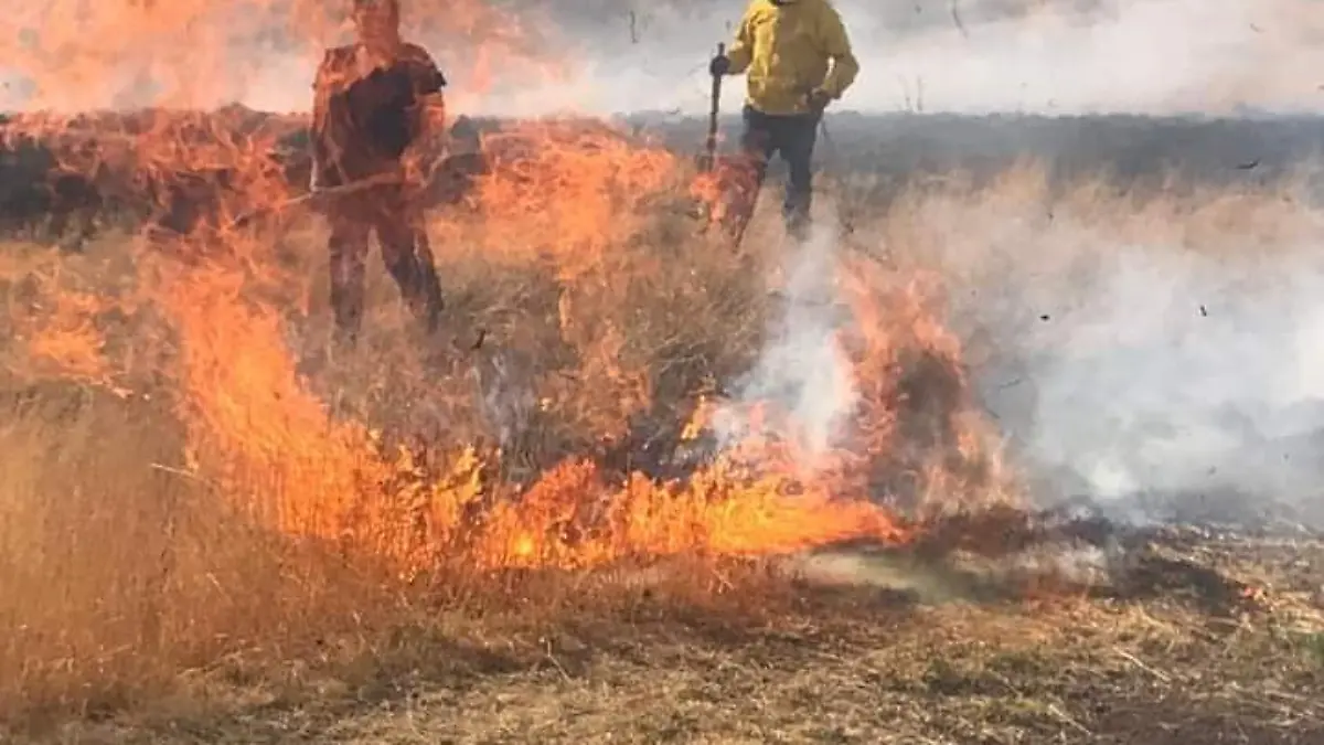 WhatsApp Image 2021-03-28 at 6.07.50 PM