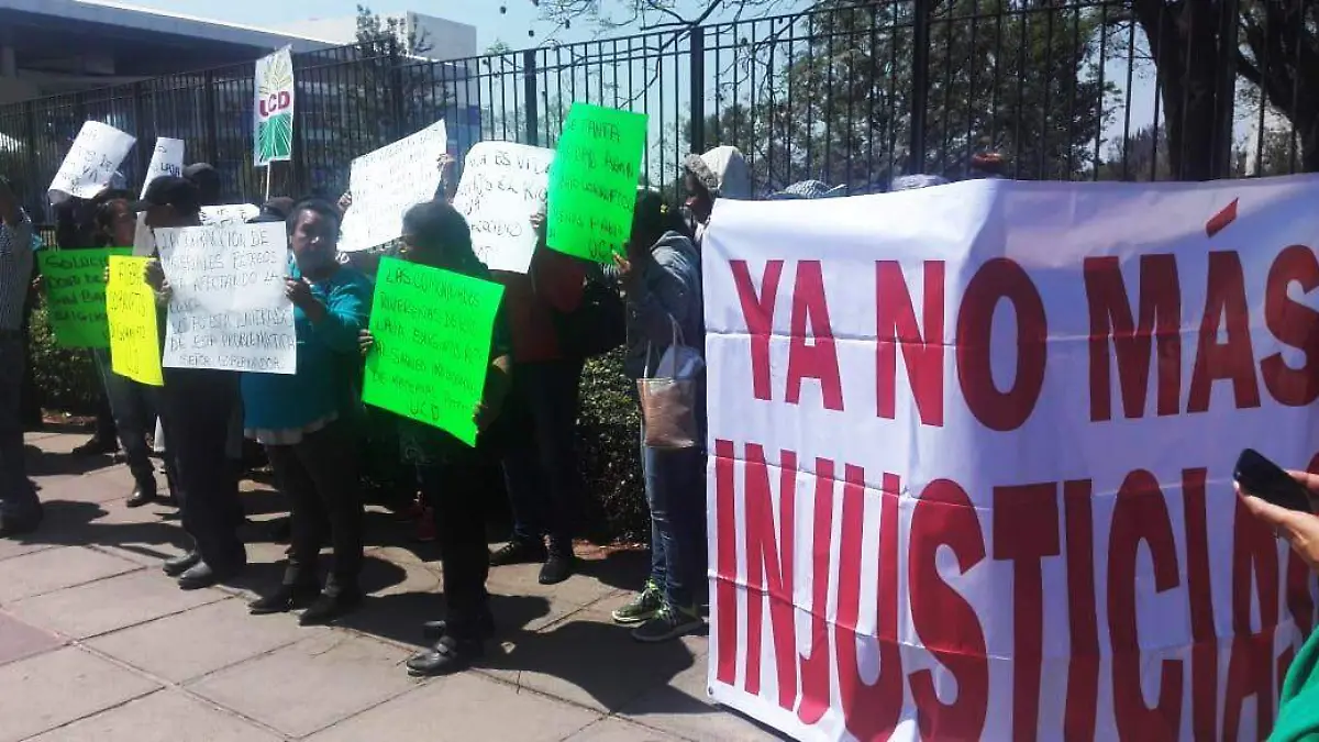 WhatsApp Image 2019-03-07 at 12.21.33 PM