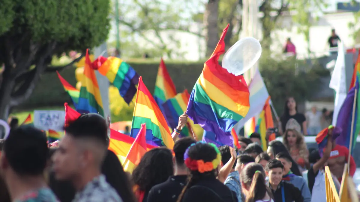 DIVERSIDAD (2)