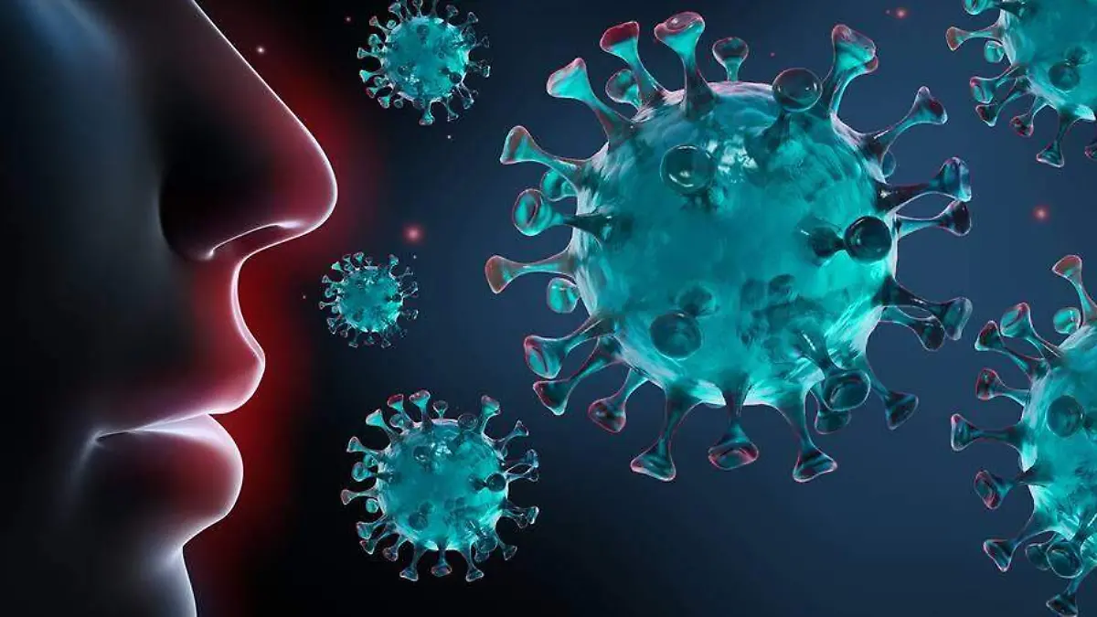 819_21369_21369410_45341343