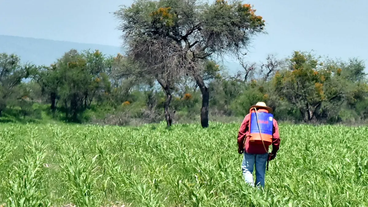 Fueron-invertidos-siete-millones-1-okokok