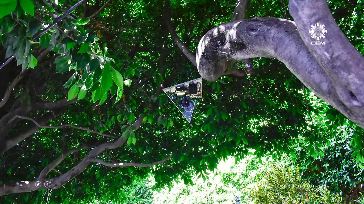 Llega-ambientación-sonora (2)