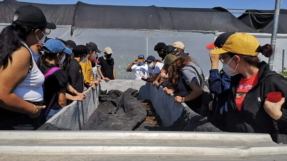 WhatsApp Image 2022-06-13 at 8.02.48 AM (1)