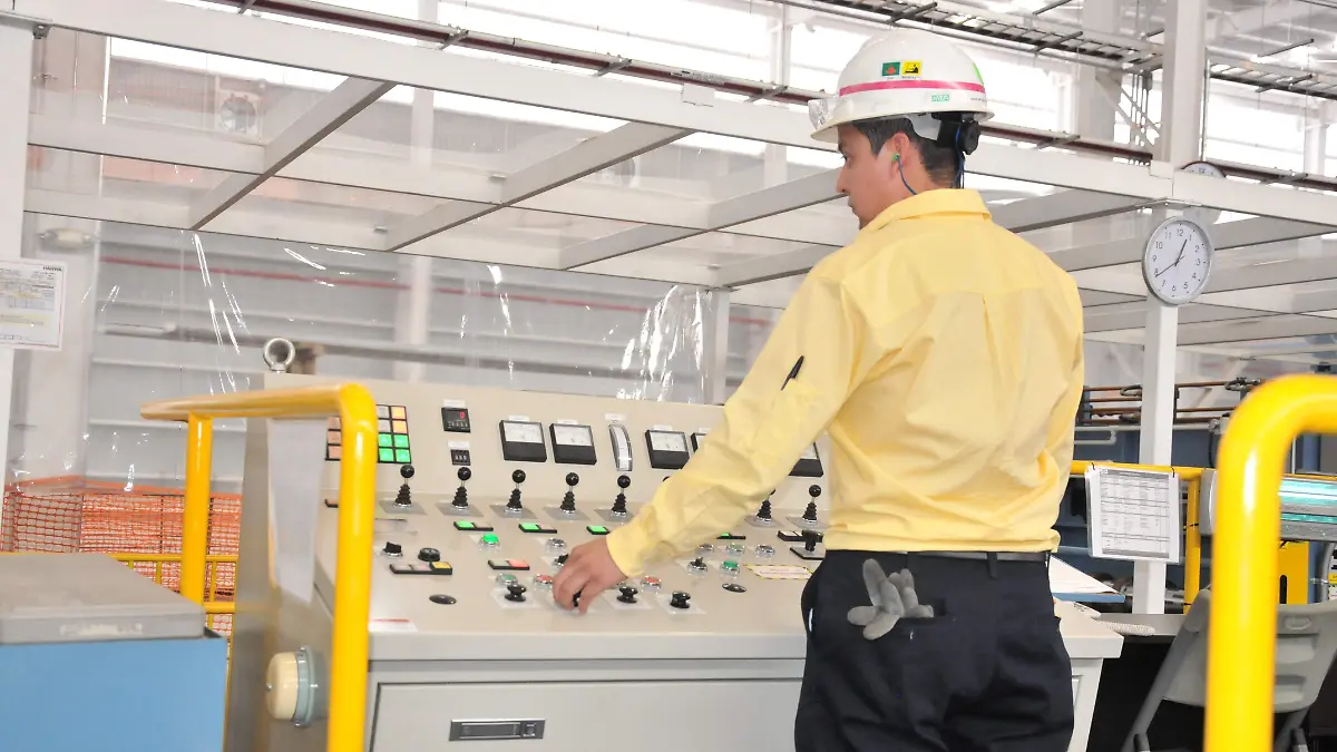  inversión-en-Guanajuato  (2)