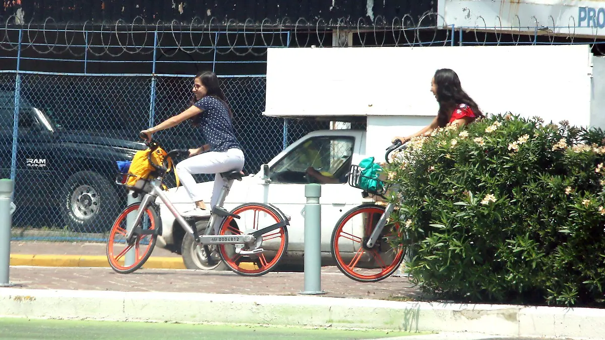 BICI (3)