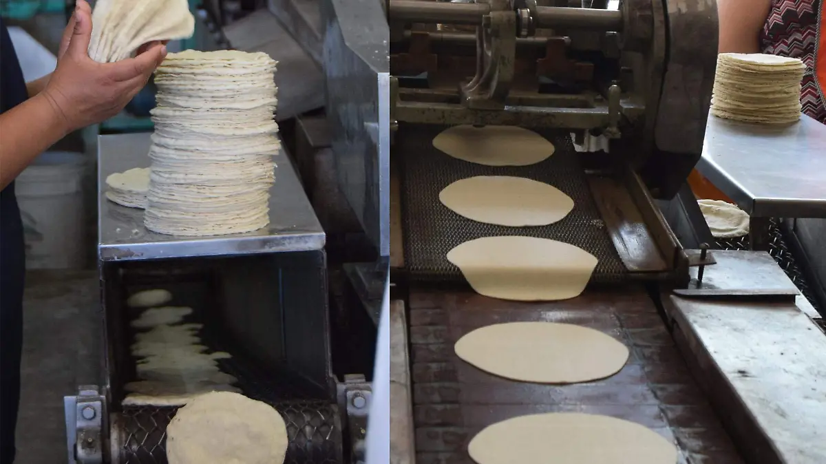 PROFECO  TORTILLA(2)