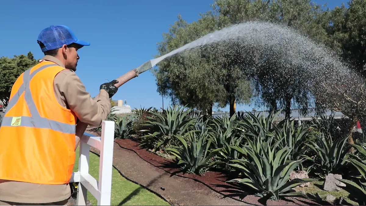 SAPAL - LINEA MORADA  (1)