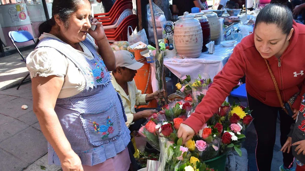 f carmona flores (4)