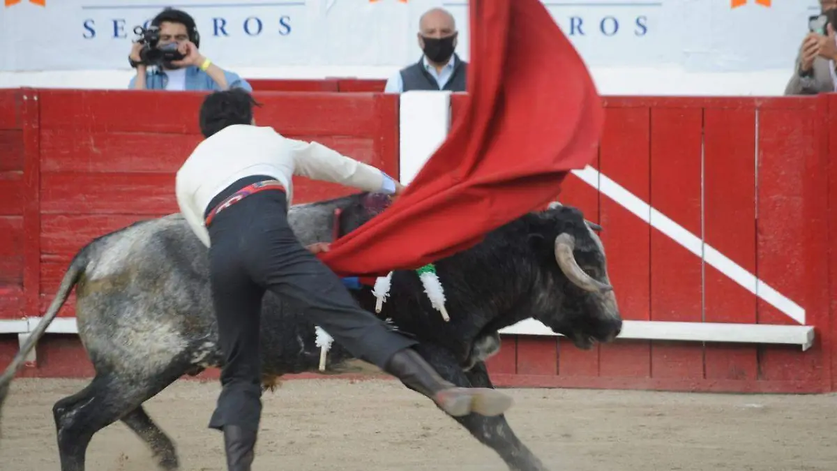 1.TOROS