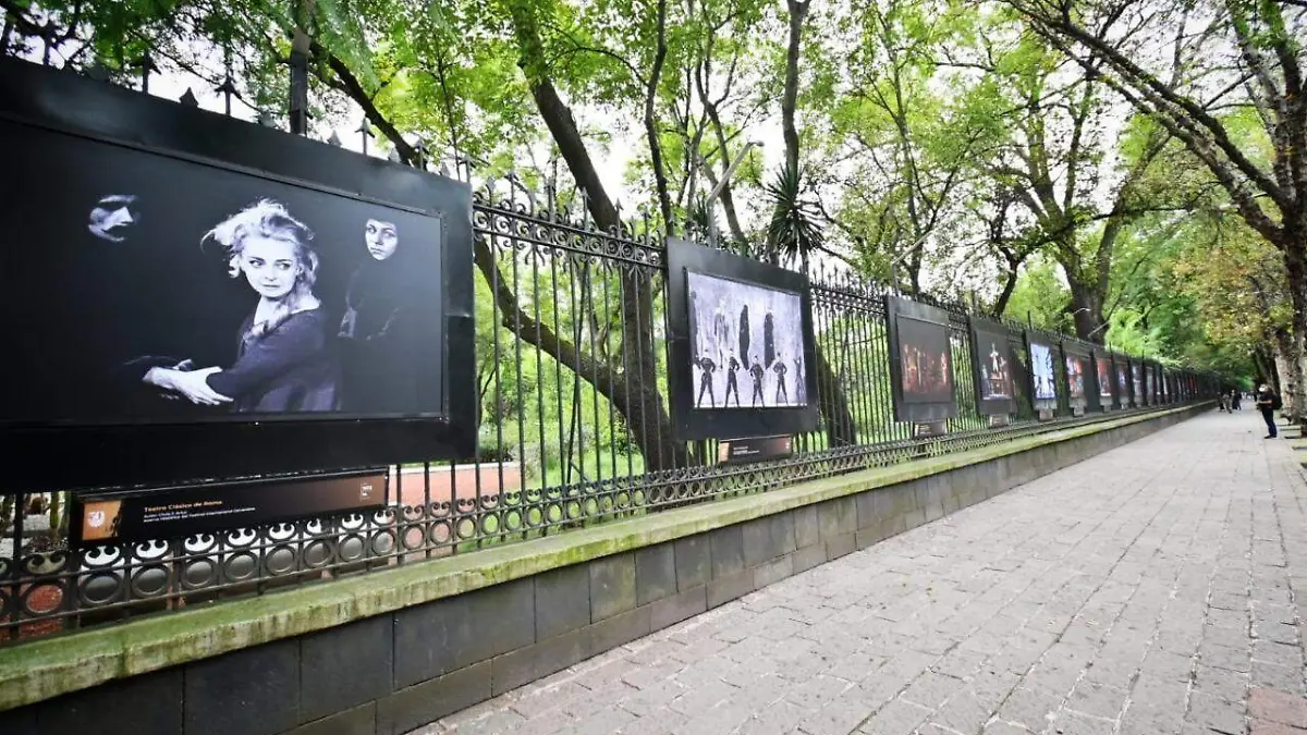 Fotografías del Cervantino