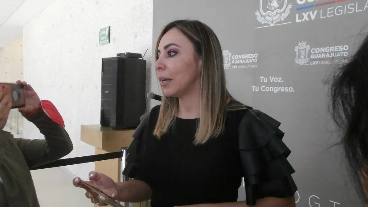 Diputada Yulma Rocha