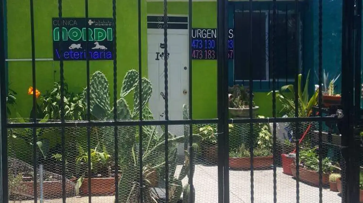 Los-seres-sintientes