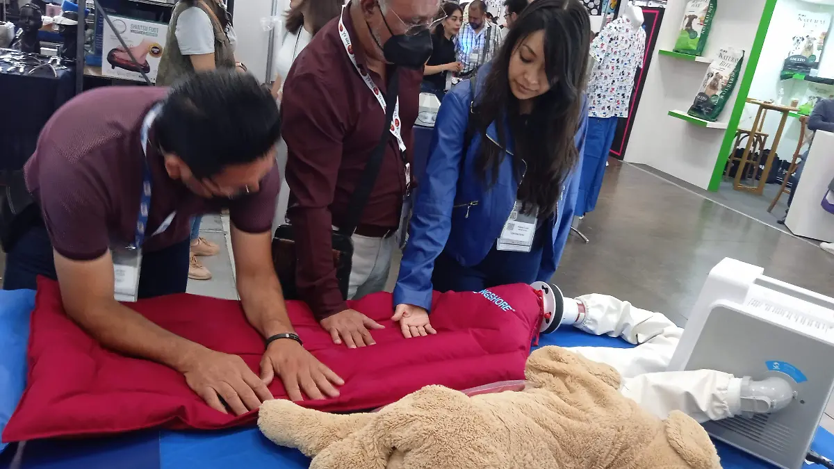 Rosario Horta -Almohada