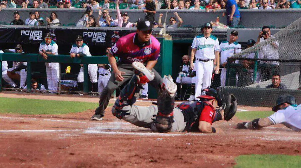 WhatsApp Image 2019-05-12 at 8.07.03 PM