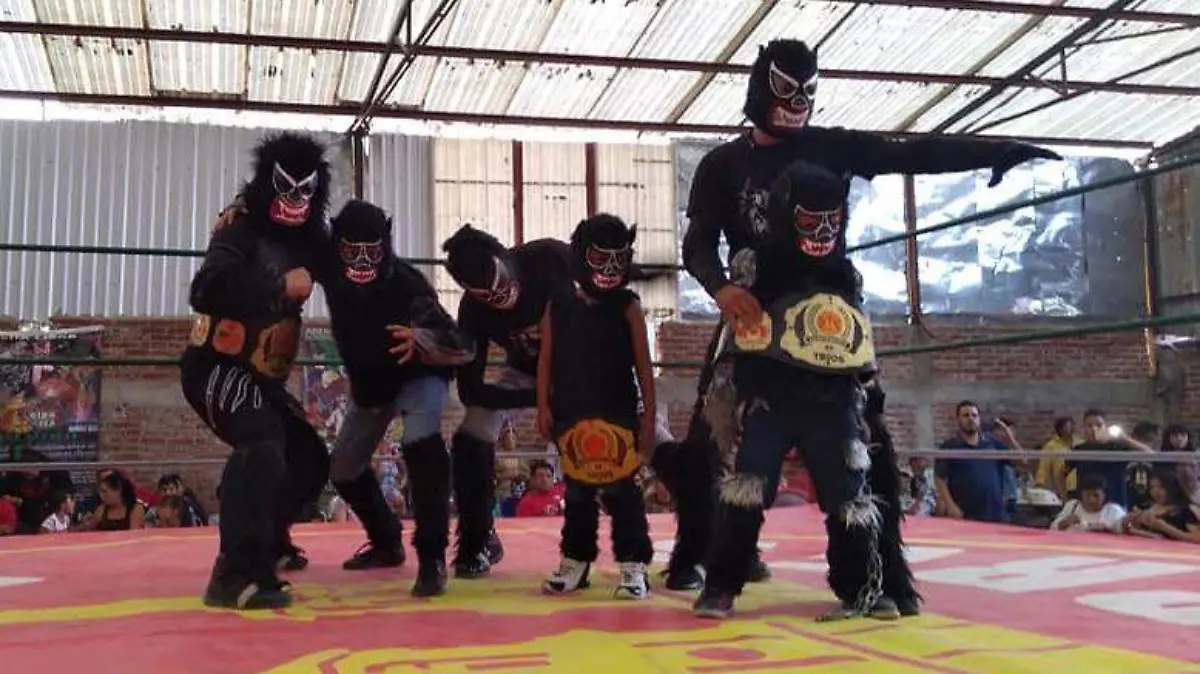 WhatsApp Image 2019-07-13 at 2.17.08 PM