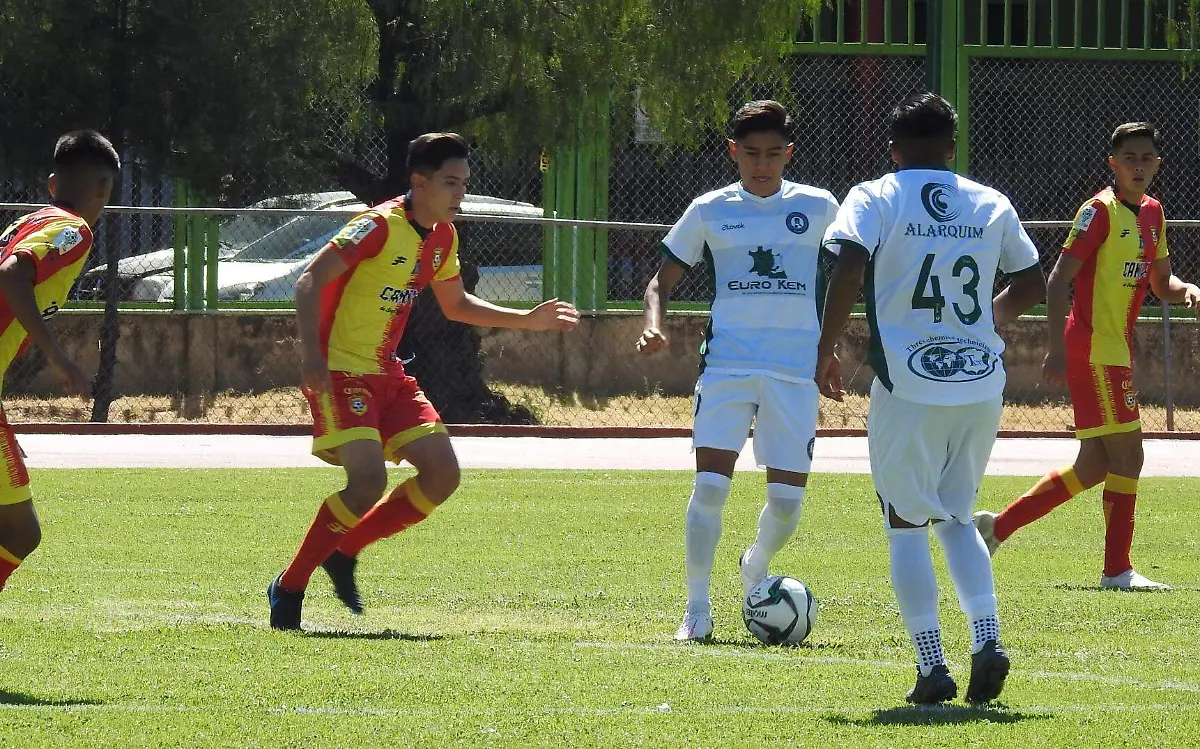 CACHORROS DE LEON (2)