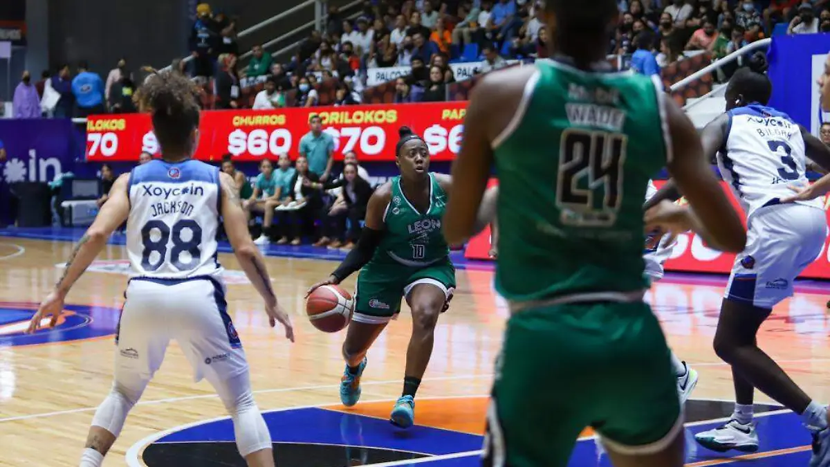 Abejas-Libertadoras (1)