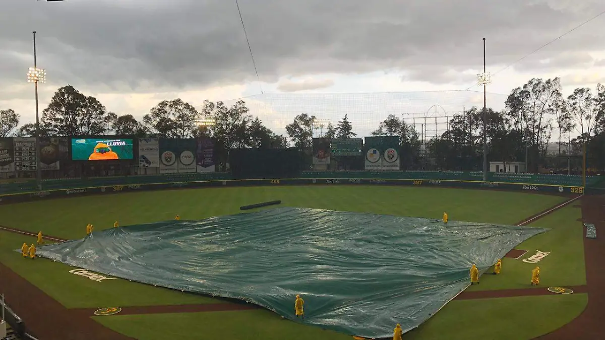 WhatsApp Image 2019-07-23 at 22.11.41